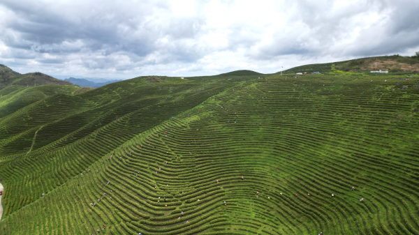 微信图片_2026-04-07_150900_953