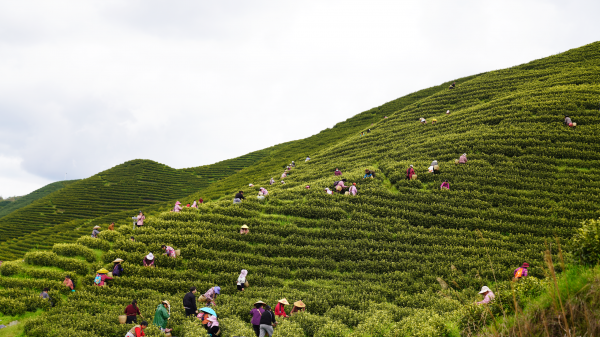 微信图片_2026-04-07_150908_205