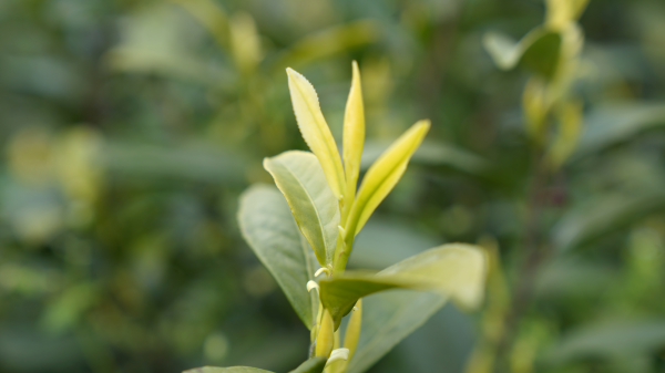 微信图片_2026-04-07_150924_016