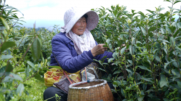 微信图片_2026-04-07_150916_030