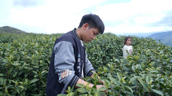 微信图片_2026-04-07_150940_396