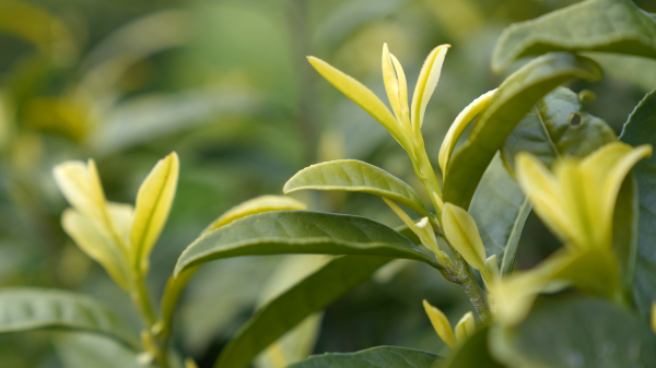 微信图片_2026-04-07_151008_230