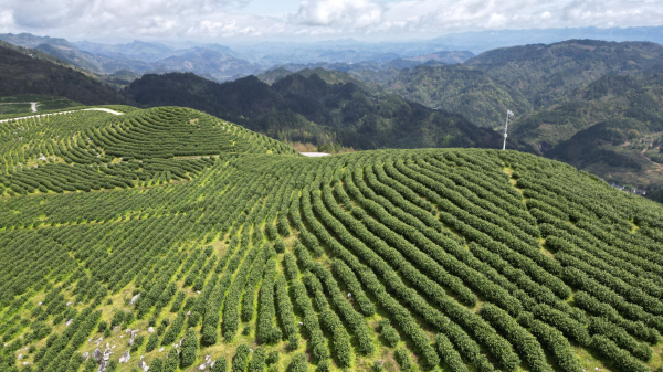 微信图片_2026-04-07_150951_029