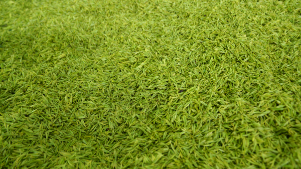 微信图片_2026-04-07_151000_091