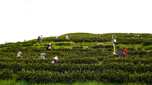 微信图片_2026-04-07_151016_232