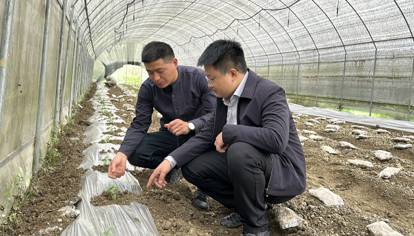 微信图片_2026-04-07_155122_509