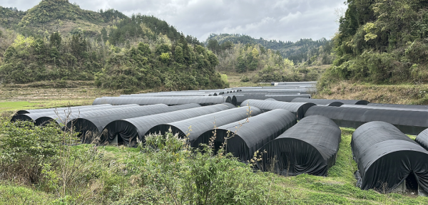 微信图片_2026-04-07_155130_202