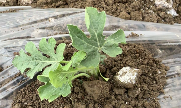 微信图片_2026-04-07_155137_730