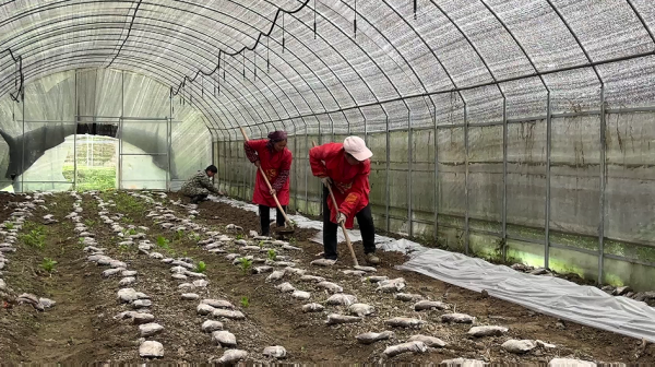 微信图片_2026-04-07_155148_104