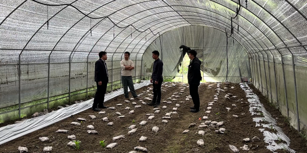 微信图片_2026-04-07_155155_195