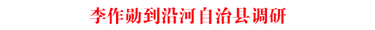 李作勋到沿河自治县调研