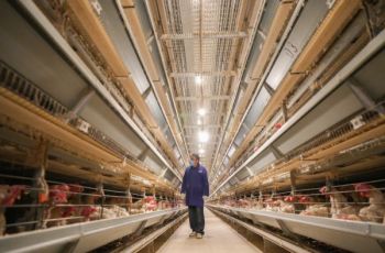 食博有约·快去铜仁馆淘金“蛋”丨莞铜携手造“蛋” 出山入湾购销两旺