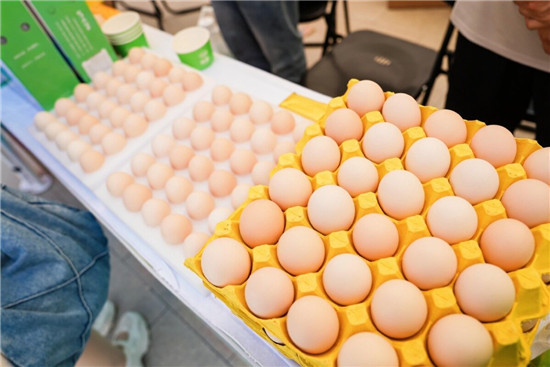 食博有约·快去铜仁馆淘金“蛋”｜倒计时1天！贵州铜仁“梵净山鸡蛋”即将亮相第十届食博会