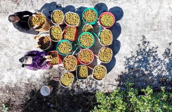 微信图片_20260410183748_1100_4