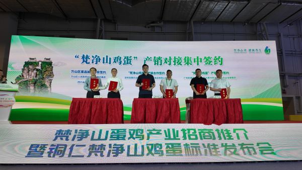 食博有约·快去铜仁馆淘金“蛋”|“梵净山鸡蛋”标准正式发布,现场“孵”出10.5亿大单