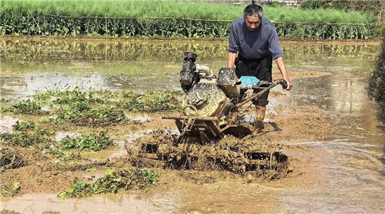 铜仁：抢抓农时忙春耕 守牢底线保丰收