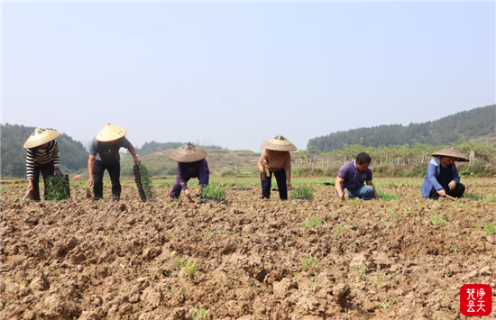 微信图片_2026-04-12_112718_617