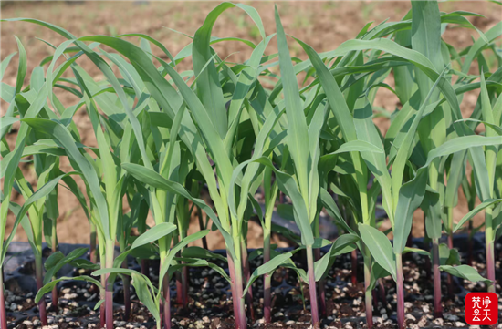 微信图片_2026-04-12_112722_390