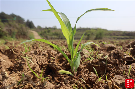 微信图片_2026-04-12_112725_887