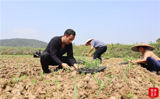 微信图片_2026-04-12_112733_739