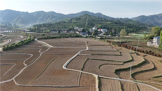 不误农时保春耕！石阡10万亩高标农田建设加速跑