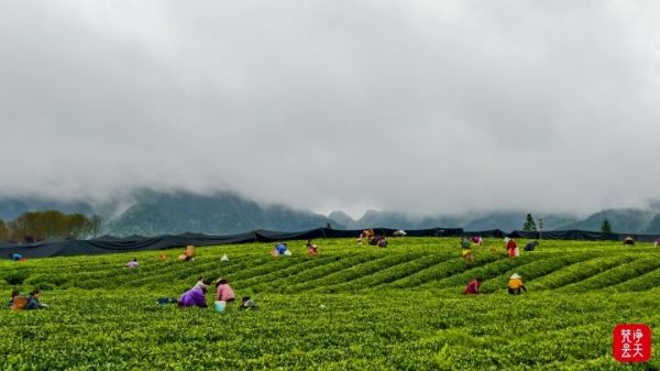 微信图片_2026-04-13_193313_698