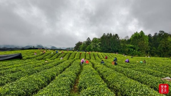 微信图片_2026-04-13_193322_708