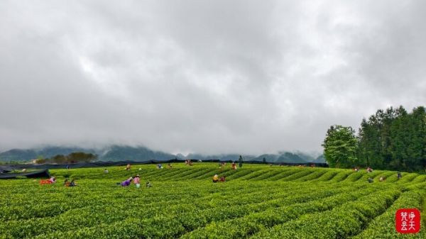 微信图片_2026-04-13_193338_625