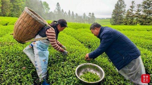 微信图片_2026-04-13_193330_857