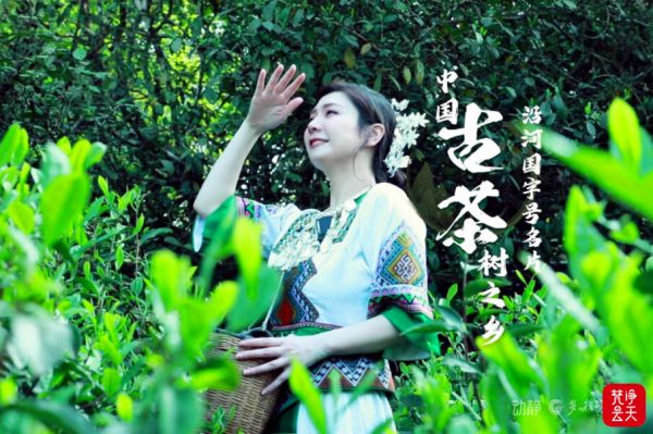 微信图片_2026-04-13_194214_306