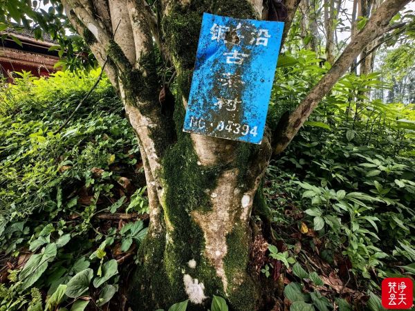 微信图片_2026-04-13_194222_924