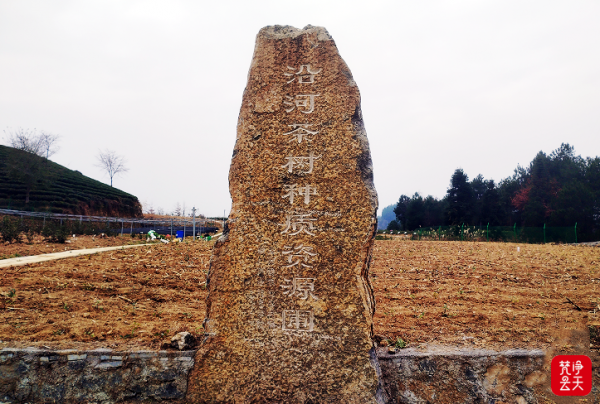 微信图片_2026-04-13_194230_507