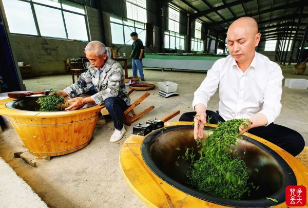 微信图片_2026-04-13_194246_156