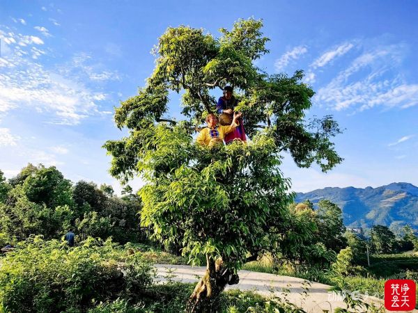 微信图片_2026-04-13_194254_345