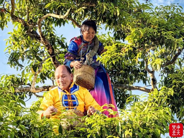 微信图片_2026-04-13_194318_040