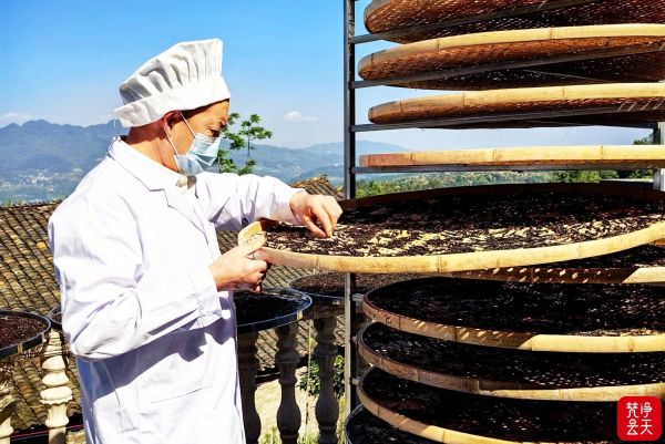 微信图片_2026-04-13_194332_904