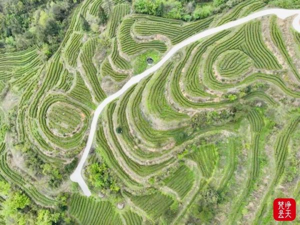 微信图片_2026-04-13_195109_071