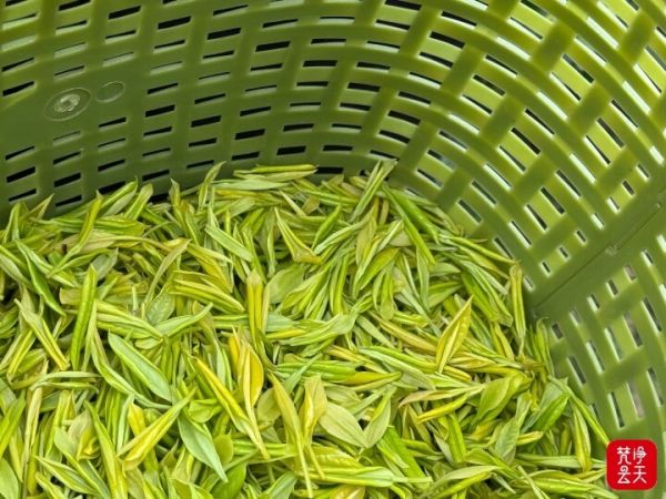 微信图片_2026-04-13_195120_529