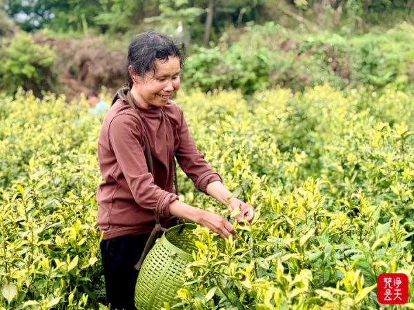 微信图片_2026-04-13_195128_809