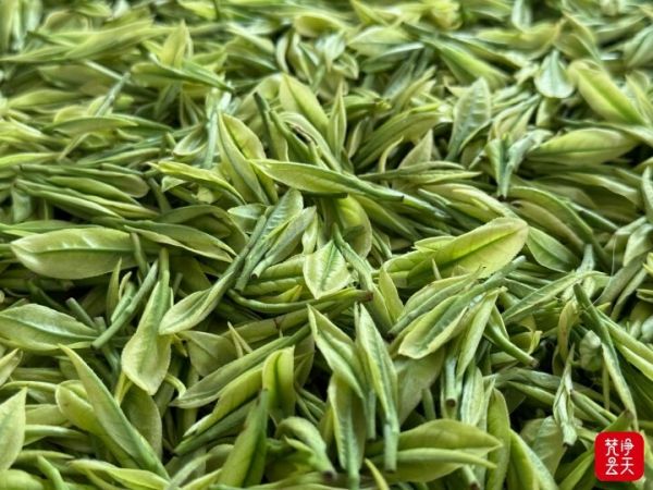 微信图片_2026-04-13_195141_027