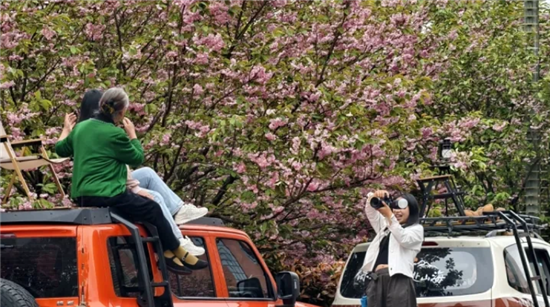 微信图片_20260418095933_2816_2