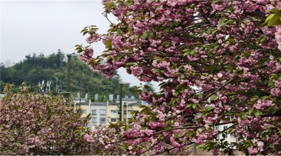 微信图片_20260418095933_2818_2