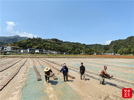 组图 | 松桃：村民水稻育秧忙