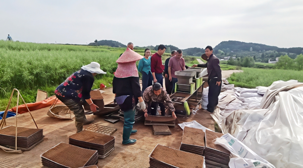 微信图片_2026-04-19_224007_271