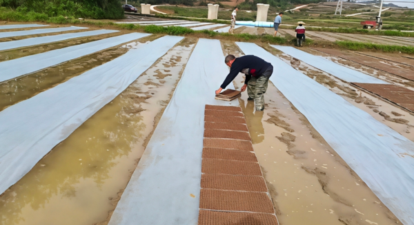 微信图片_2026-04-19_224014_433