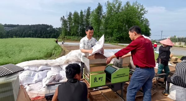 碧江滑石乡：白水贡米机械化育苗忙