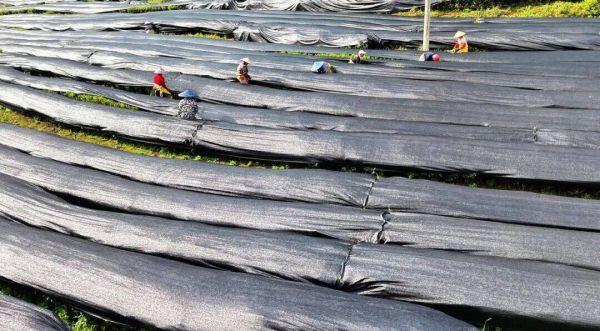 微信图片_2026-04-19_224838_469