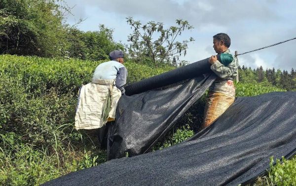 微信图片_2026-04-19_224845_903