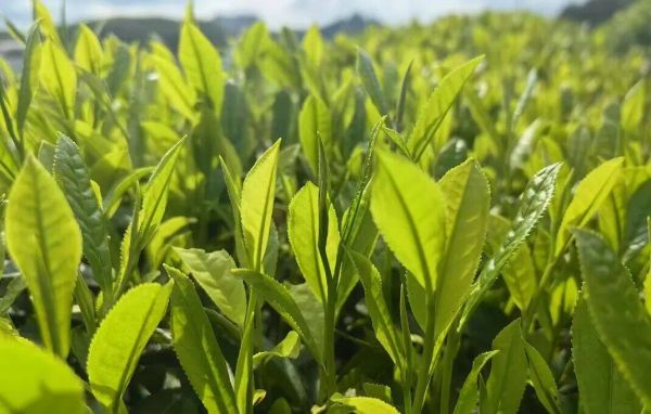 微信图片_2026-04-19_224854_116