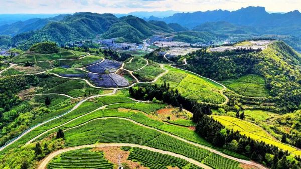 微信图片_2026-04-19_224901_885